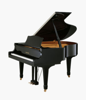 yamaha-g2e YAMAHA - G2E